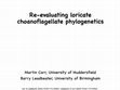 Research paper thumbnail of Re-evaluating loricate choanoflagellate phylogenetics