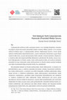 Research paper thumbnail of Türk Edebiyatı Tarihi Çalışmalarında Hiyerarşik (Piramidal) Mekân Sorunu