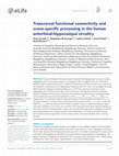 Research paper thumbnail of Transversal functional connectivity and scene-specific processing in the human entorhinal-hippocampal circuitry