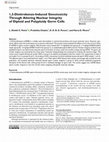 Research paper thumbnail of 1,3-Dinitrobenze-Induced Genotoxicity Through Altering Nuclear Integrity of Diploid and Polyploidy Germ Cells