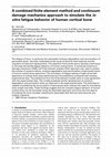 Research paper thumbnail of A combined finite element method and continuum damage mechanics approach to simulate the in vitro fatigue behavior of human cortical bone