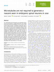 Research paper thumbnail of Microtubules are not required to generate a nascent axon in embryonic spinal neurons in vivo