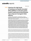 Research paper thumbnail of Selection for high levels of resistance to double-stranded RNA (dsRNA) in Colorado potato beetle (Leptinotarsa decemlineata Say) using non-transgenic foliar delivery