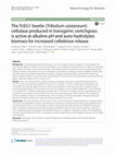 Research paper thumbnail of The TcEG1 beetle (Tribolium castaneum) cellulase produced in transgenic switchgrass is active at alkaline pH and auto-hydrolyzes biomass for increased cellobiose release