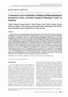 Research paper thumbnail of Commonest Cancers in Pakistan - Findings and Histopathological Perspective from a Premier Surgical Pathology Center in Pakistan