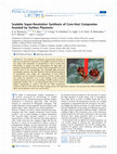 Research paper thumbnail of Scalable Super-Resolution Synthesis of Core-Vest Composites Assisted by Surface Plasmons