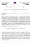 Research paper thumbnail of Liseli Gençliğin Üniversite Algılaması ve Gelecek Tasarımı