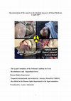 Research paper thumbnail of Documentation of the report on the chemical massacre in Khan Sheikoun, 4 April 2017