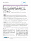 Research paper thumbnail of Dorsoventral patterning of the Xenopus eye involves differential temporal changes in the response of optic stalk and retinal progenitors to Hh signalling