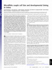 Research paper thumbnail of MicroRNAs couple cell fate and developmental timing in retina