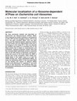 Research paper thumbnail of Molecular localization of a ribosome-dependent ATPase on Escherichia coli ribosomes