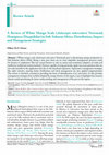 Research paper thumbnail of A Review of White Mango Scale (Aulacaspis tubercularis Newstead; Hemiptera: Diaspididae) in Sub-Saharan Africa: Distribution, Impact and Management Strategies