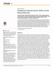 Research paper thumbnail of Glutathione-Induced Calcium Shifts in Chick Retinal Glial Cells