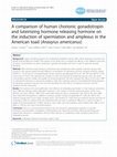 Research paper thumbnail of A comparison of human chorionic gonadotropin and luteinizing hormone releasing hormone on the induction of spermiation and amplexus in the American toad (Anaxyrus americanus)