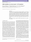 Research paper thumbnail of MHD instabilities in accretion mounds – II. 3D simulations