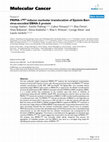 Research paper thumbnail of PRIMA-1MET induces nucleolar translocation of Epstein-Barr virus-encoded EBNA-5 protein