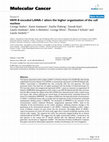 Research paper thumbnail of HHV-8 encoded LANA-1 alters the higher organization of the cell nucleus