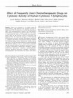 Research paper thumbnail of Effect of Frequently Used Chemotherapeutic Drugs on Cytotoxic Activity of Human Cytotoxic T-lymphocytes