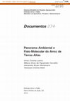 Research paper thumbnail of Panorama ambiental e fisio-molecular do arroz de terras altas