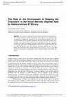 Research paper thumbnail of The Role of the Environment in Shaping the Characters in the Novel Merindu Baginda Nabi by Habiburrahman El Shirazy