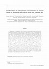 Research paper thumbnail of Confirmation of microplastic contamination in muscle tissue of Nephrops norvegicus from the Adriatic Sea