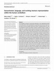 Research paper thumbnail of Sensorimotor, language, and working memory representation within the human cerebellum