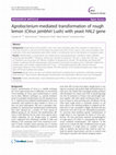 Research paper thumbnail of Agrobacterium-mediated transformation of rough lemon (Citrus jambhiri Lush) with yeast HAL2 gene