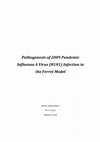 Research paper thumbnail of Pathogenesis of 2009 pandemic influenza a virus (H1N1) infection in the ferret model