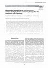 Research paper thumbnail of Mitochondrial phylogeny of the Darevskia saxicola complex: two highly deviant evolutionary lineages from the easternmost part of the range