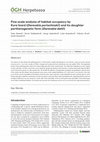 Research paper thumbnail of Fine-scale analysis of habitat occupancy by Kura lizard (Darevskia portschinskii) and its daughter parthenogenetic form (Darevskia dahli)