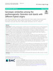 Research paper thumbnail of Genotypic similarities among the parthenogenetic Darevskia rock lizards with different hybrid origins