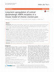 Research paper thumbnail of Long-term upregulation of cortical glutamatergic AMPA receptors in a mouse model of chronic visceral pain