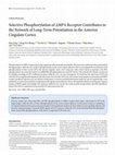 Research paper thumbnail of Selective Phosphorylation of AMPA Receptor Contributes to the Network of Long-Term Potentiation in the Anterior Cingulate Cortex