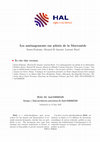 Research paper thumbnail of Les aménagements sur pilotis de la Marronède