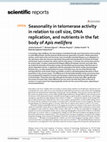 Research paper thumbnail of Seasonality in telomerase activity in relation to cell size, DNA replication, and nutrients in the fat body of Apis mellifera