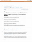 Research paper thumbnail of A \u3ci\u3eSaccharomyces cerevisiae\u3c/i\u3e Gene Required for Heterologous Fatty Acid Elongase Activity Encodes a Microsomal β-Keto-reductase