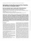 Research paper thumbnail of Sphingolipids in the Root Play an Important Role in Regulating the Leaf Ionome in Arabidopsis thaliana    