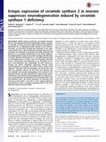 Research paper thumbnail of Ectopic expression of ceramide synthase 2 in neurons suppresses neurodegeneration induced by ceramide synthase 1 deficiency