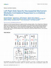 Research paper thumbnail of Left-Right Side-Specific Neuropeptide Mechanism Mediates Contralateral Responses to a Unilateral Brain Injury