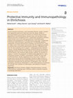 Research paper thumbnail of Protective Immunity and Immunopathology in Ehrlichiosis