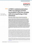 Research paper thumbnail of mTORC1-mediated polarization of M1 macrophages and their accumulation in the liver correlate with immunopathology in fatal ehrlichiosis