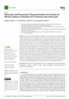 Research paper thumbnail of Molecular and Functional Characterization of Caveolae in Mixed Cultures of Human NT-2 Neurons and Astrocytes