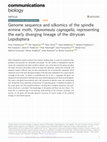 Research paper thumbnail of Genome sequence and silkomics of the spindle ermine moth, Yponomeuta cagnagella, representing the early diverging lineage of the ditrysian Lepidoptera