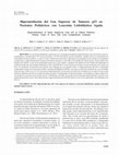 Research paper thumbnail of Hipermetilación del Gen Supresor de Tumores p53 en Pacientes Pediátricos con Leucemia Linfoblástica Aguda