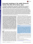 Research paper thumbnail of Postcranial morphology of the middle Pleistocene humans from Sima de los Huesos, Spain