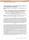 Research paper thumbnail of Análisis paleontológico del yacimiento del Pleistoceno superior de Cova Foradada (Xàbia, Alicante, España)