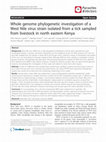 Research paper thumbnail of Whole genome phylogenetic investigation of a West Nile virus strain isolated from a tick sampled from livestock in north eastern Kenya