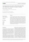 Research paper thumbnail of A new genus and two new species of Pterostichini from China, with “sphodrine-like” parameres (Coleoptera, Carabidae)