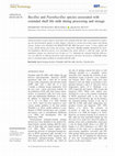 Research paper thumbnail of BacillusandPaenibacillusspecies associated with extended shelf life milk during processing and storage