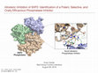 Research paper thumbnail of Allosteric Inhibition of SHP2: Identification of a Potent, Selective, and Orally Efficacious Phosphatase Inhibitor